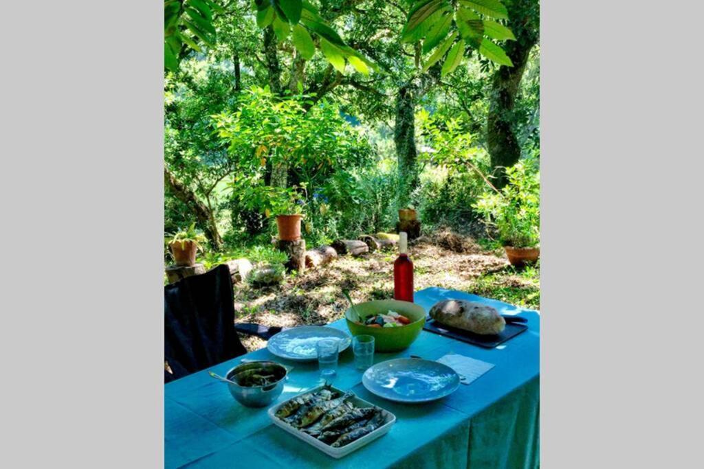 Quinta Biologica, Com Vista, Na Serra De ซินตรา ภายนอก รูปภาพ