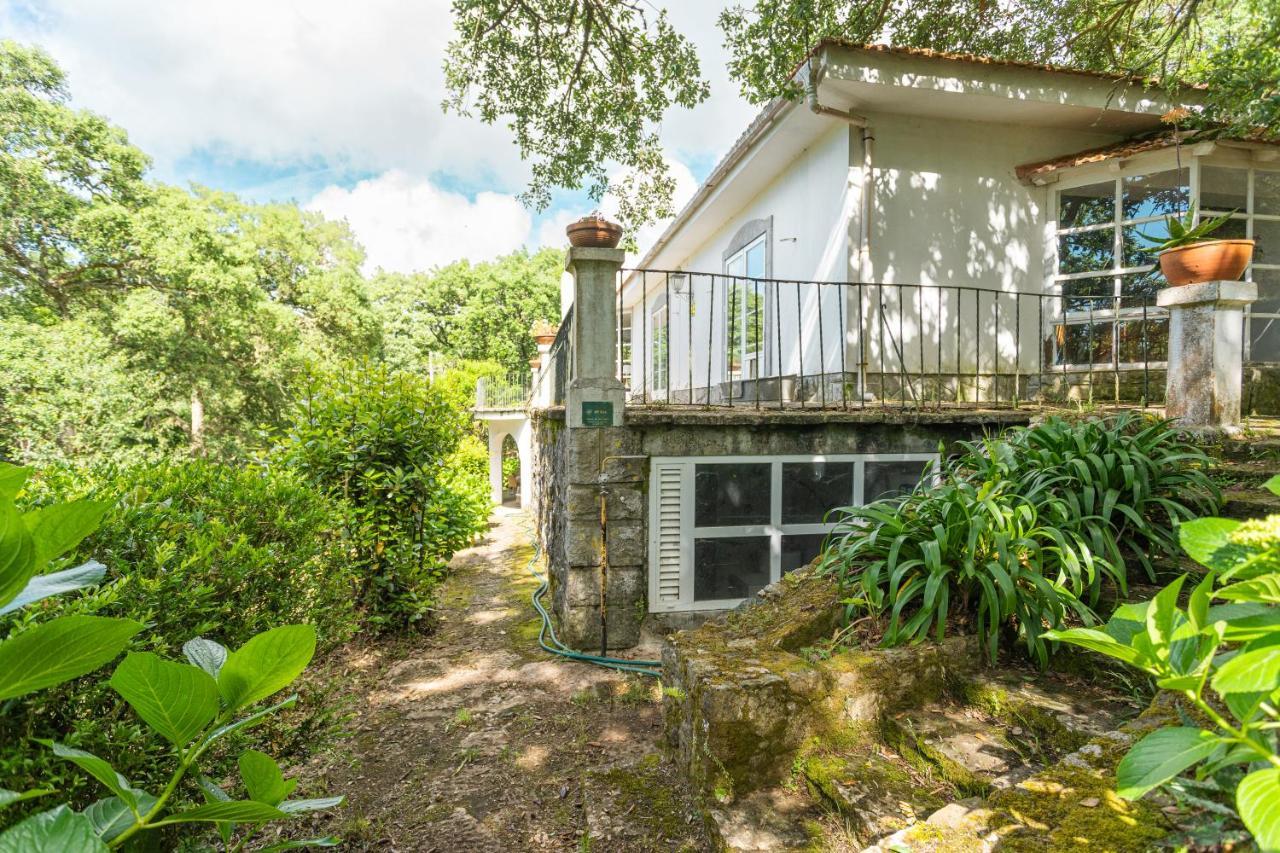 Quinta Biologica, Com Vista, Na Serra De ซินตรา ภายนอก รูปภาพ