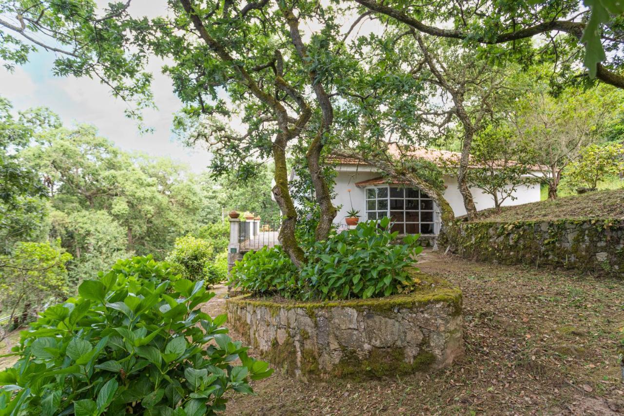 Quinta Biologica, Com Vista, Na Serra De ซินตรา ภายนอก รูปภาพ