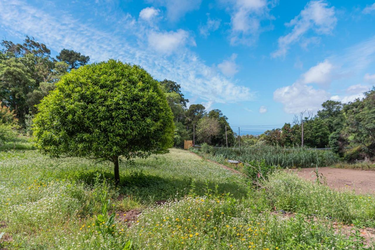 Quinta Biologica, Com Vista, Na Serra De ซินตรา ภายนอก รูปภาพ