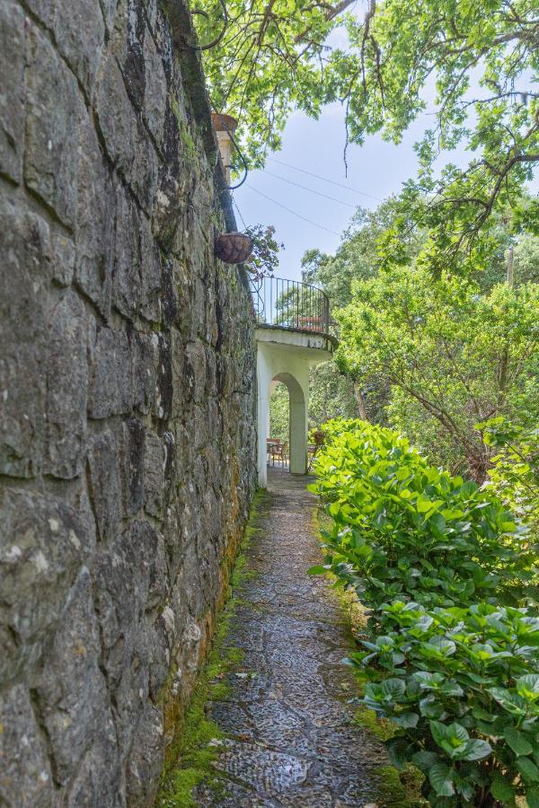 Quinta Biologica, Com Vista, Na Serra De ซินตรา ภายนอก รูปภาพ